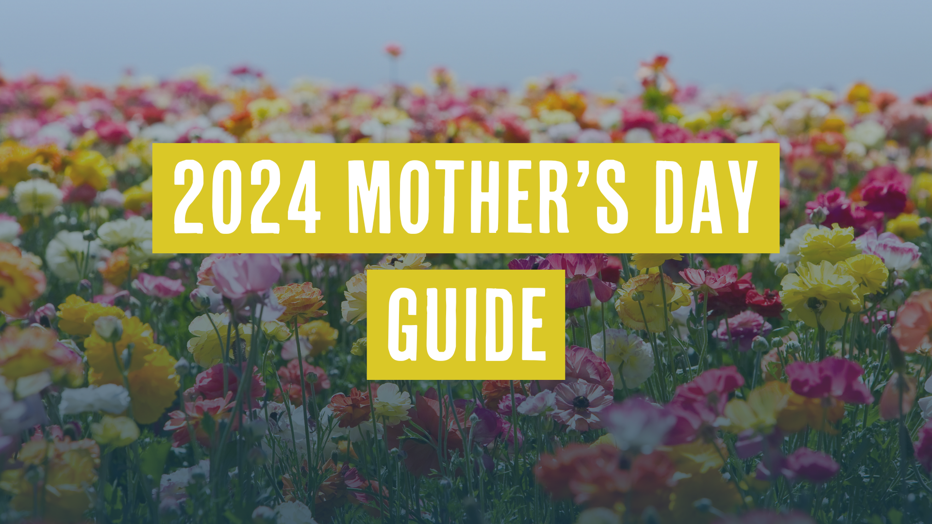 2024 Mother’s Day Guide